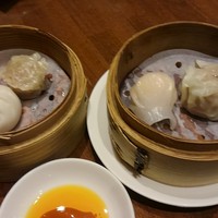 中国料理 青冥 堂島本店 - 本日の飲茶四種