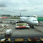 Cafe France - フィリピン航空の翼で帰りま〜す♪