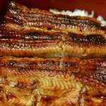 うなぎ屋 廣川 - 上うな重