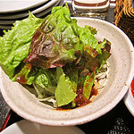 韓国亭豚や - サラダ