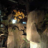 鯛よし百番 - 中庭