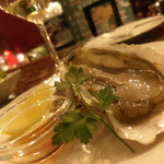 イタリアン バール ラ ファミーリア - 