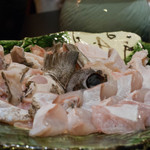 肥後橋ゆきや。 - 