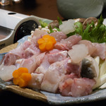 肥後橋ゆきや。 - 