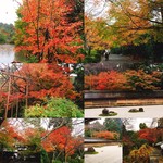 紅葉狩りの後に伺いました（＾ω＾）