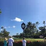 Waialae Country Club - 綺麗ねえ