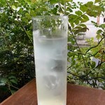 Homemade lemonade from Setoda lemons (Hot or Cole)