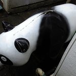 分水堂菓子舗 - パンダ（その３）