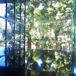 61325715 - テーブルに外の木々が映り込み素敵です。