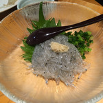 濱松たんと 浜松駅南口店 - 生しらす刺身