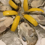 ビストロ ティアボ - 