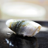 日本橋蛎殻町 すぎた - 小肌