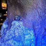 クリッター マウンテン - 大木の内側にご案内