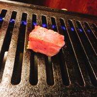 NO MEAT, NO LIFE.2nd - 