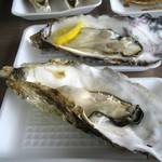 高栄水産 - 生かき＆岩かき一個400円2010.5