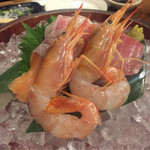 旬の鮮魚と串料理　海鮮居酒屋　炙り市場 - 