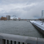 ラーメン二郎 - 万代橋から信濃川河口を望む