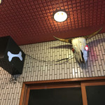 一条流がんこ総本家分家四谷荒木町 - 外観