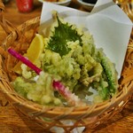 ビストロ割烹 YAOYA - ふきのとうの天ぷら