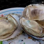 かき焼き シーサイドマリン - 