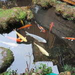 Kuheeryokan - この時期は雪深く、池の鯉が見えるのは珍しいそう