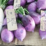 鎌倉市農協連即売所 - 鎌倉野菜。