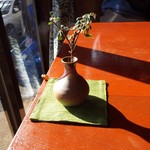 Kyou Juan - テーブルの上の植物