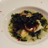 XEX TOKYO / Salvatore Cuomo Bros. - 