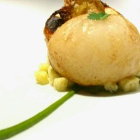 レフェルヴェソンス - 定点～ 蕪とパセリ、キントアハム、ブリオッシュ
