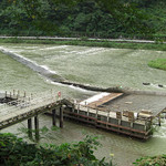 新日本料理 翠祥 - 