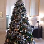 セント レジス ホテル - １２Ｆ　ＥＶホール前　Ｘ’ｍａｓツリー