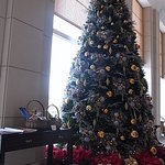 セント レジス ホテル - レセプション横　Ｘ’ｍａｓツリー