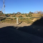 榎本牧場　フォルトゥーナ - 