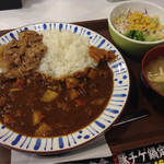 すき家 - 牛あいがけカレーサラダセット