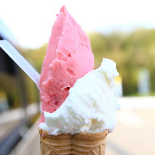 あいす工房 らく農家