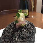 ル スプートニク - 