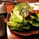 生粋 - レタスとサラダ菜の塩ダレサラダ