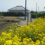 花のえん - 花畑から見た店舗です。