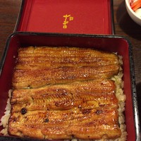 鰻 十和田 - 鰻重 桜