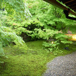 蕎麦切り 打越山茶 - 庭