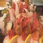 義経 - シンクロっぽい