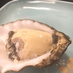 義経 - ぽんぽこっぽい