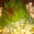 銚釐庵 - もつ鍋