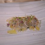 SUGALABO - 五島列島沖　すじあら