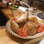 SUGALABO - 王様しいたけ