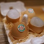 SUGALABO - 卵の殻入りチョコレートプリン 