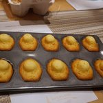 SUGALABO - マドレーヌ