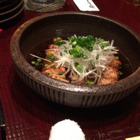 鳥ばか一代 - 
