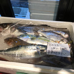 羽田市場 銀座直売店 - 