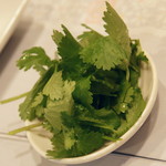 ベトナム料理 故郷レストラン - パクチー単品（１００円＋税）２０１７年１月